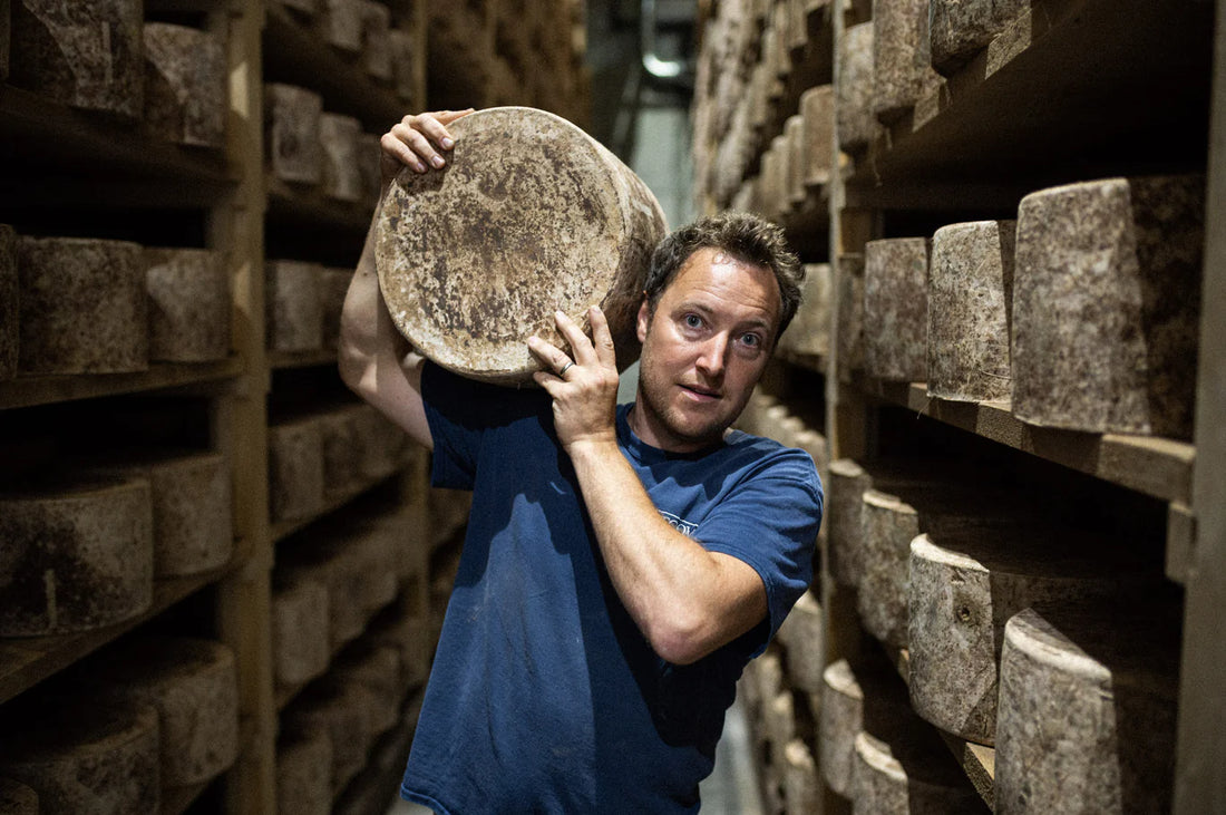 Sustaining British Artisan Cheese